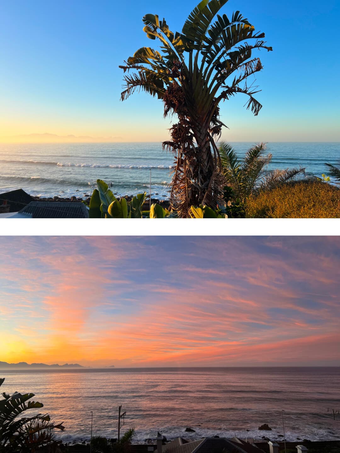 Reply from Erica Toogood - on Scissors, Rock, Paper